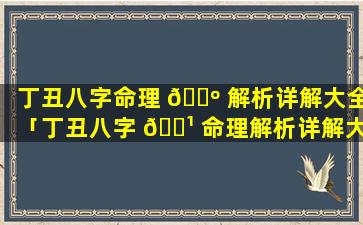 丁丑八字命理 🐺 解析详解大全「丁丑八字 🌹 命理解析详解大全图片」